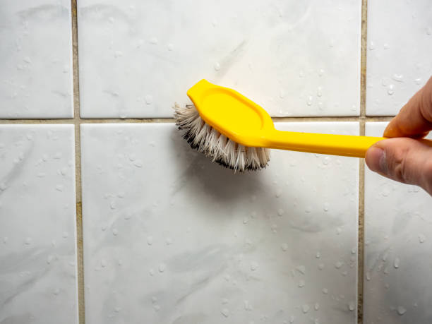 Best Residential Mold Remediation in Sleepy Hollow, WY